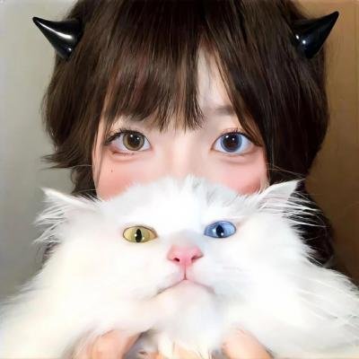 交火碎梦